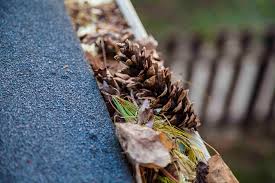 leaves in gutter